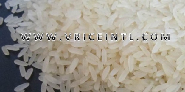 IR 106 Indian Parboiled Rice