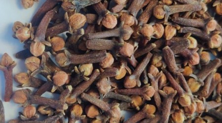 cloves