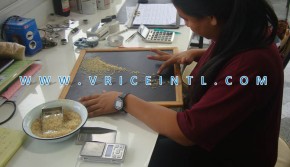 Thai Rice Mill